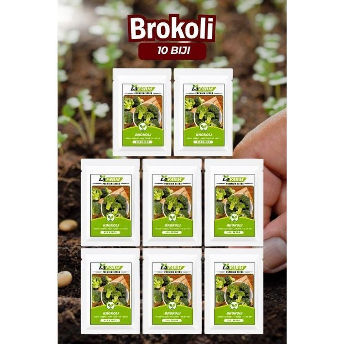 Benih Brokoli Benih Brokoli Berkualitas Tinggi 10 Biji