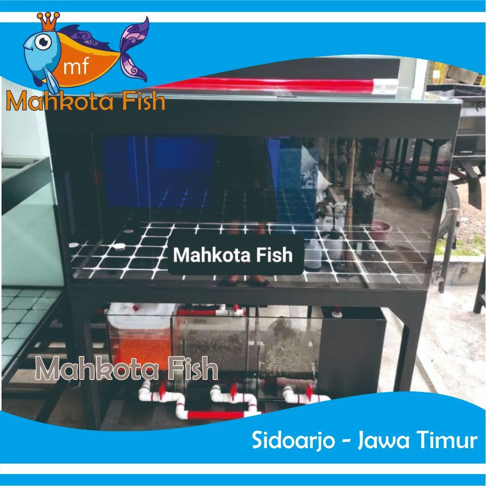 AQUARIUM SUMP FILTER BAWAH MEGA TANK SATU SET | AQUARIUM SUMP BAWAH SATU SET | AQUARIUM KACA
