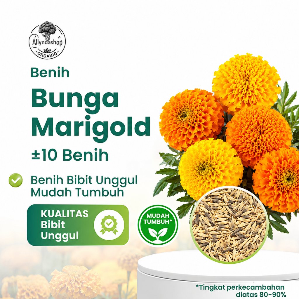 Benih Bunga Marigold Unggul | Bibit Bunga Marigold Cantik Mudah Ditanam untuk Taman & Pot