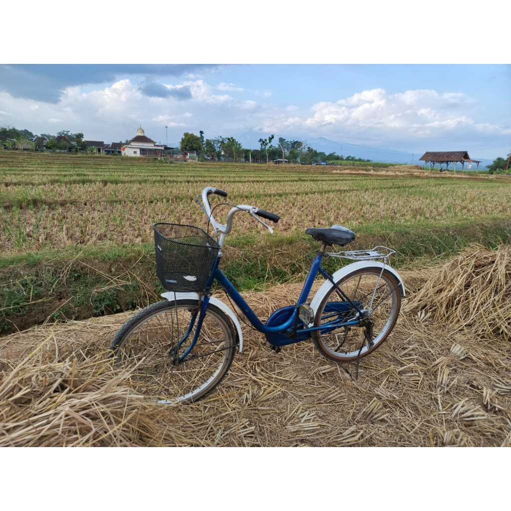 Sepeda Minion Phoenix 24 | Padisuromertani