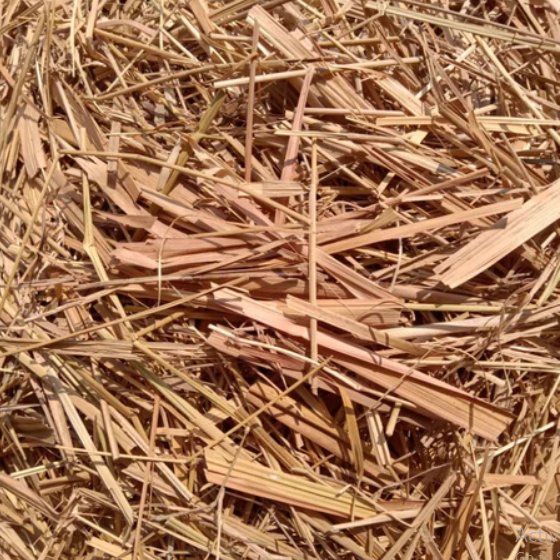 100 Gram Daun Alang Alang Kering / Daun Erih Kering / Daun Ilalang Kering Alami Premium