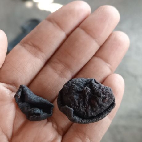 Asam Kandis / Wadung
