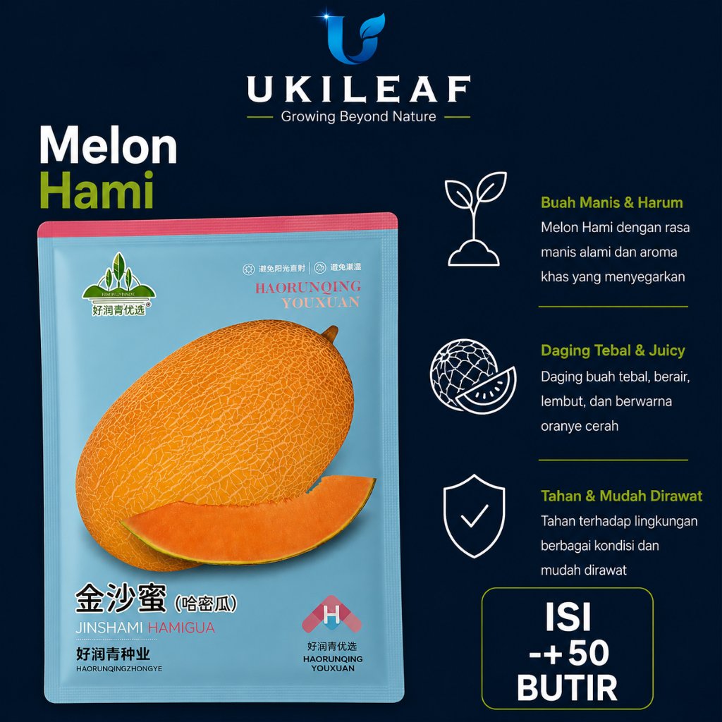 Kemasan Original | Benih Biji Melon Hami | Hami Gua | Melon Hami Xinjiang | UKILEAF