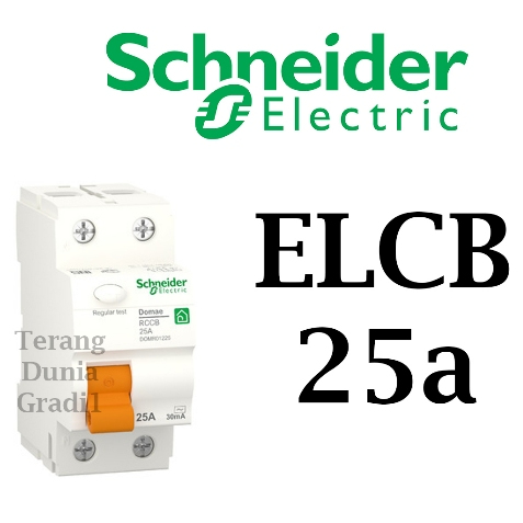ELCB 25a ELCB Schneider 25a domr01225