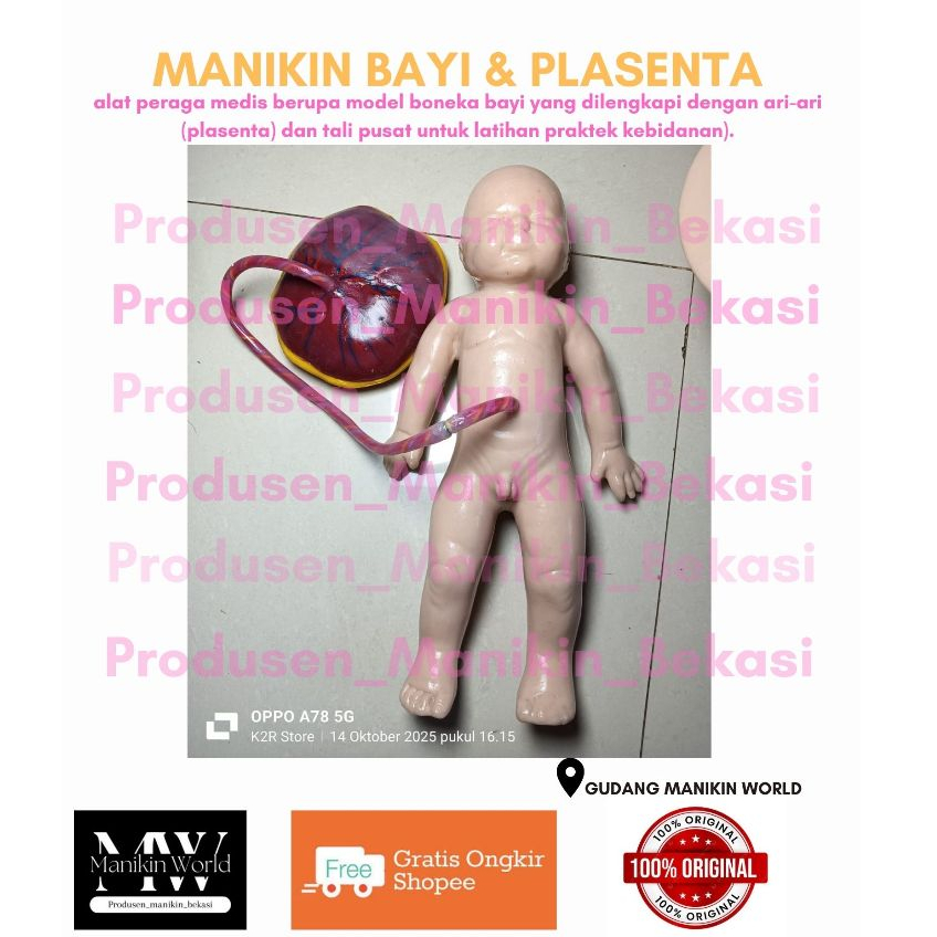 MANIKIN BAYI DAN PLACENTA/ALAT PERAGA BAYI PLACENTA/PHANTOM BAYI DAN PLACENTA