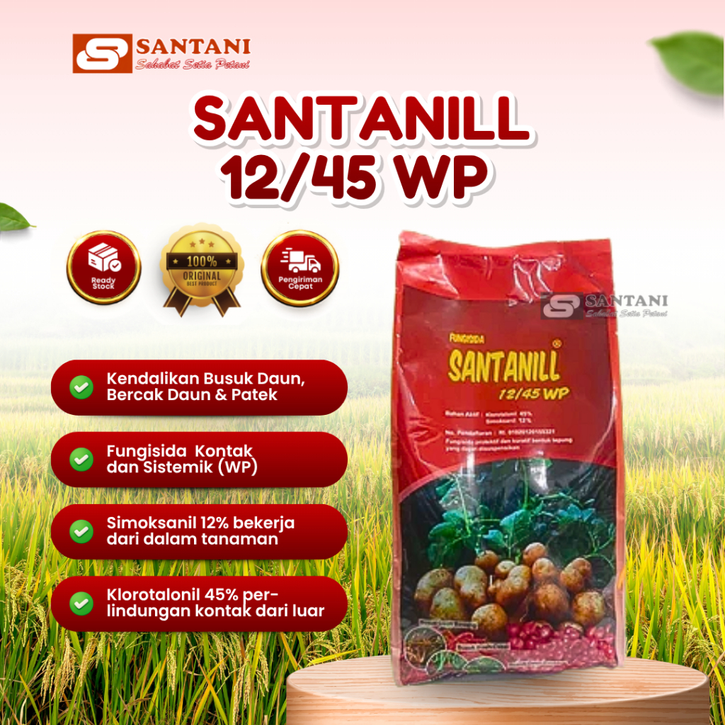 Santanill 12/45 WP 500gr- Fungisida Simoksanil 12% & Klorotalonil 45% Anti Busuk Daun Tomat & Cabai 