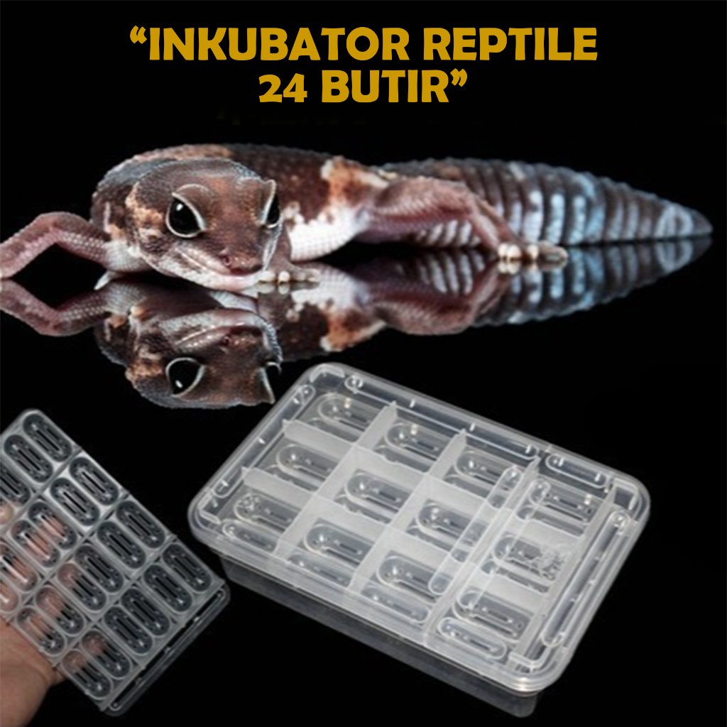 incubator Telur Reptile Kapasitas 24 Butir Incubator Telur Reptil Box Telur Gecko Kura Chameleon