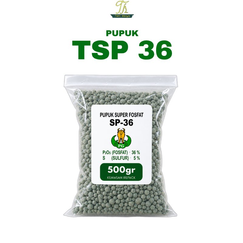 PUPUK TSP 36 KEMASAN 500 GR / PUPUK PENYUBUR PEMBENAH TANAH