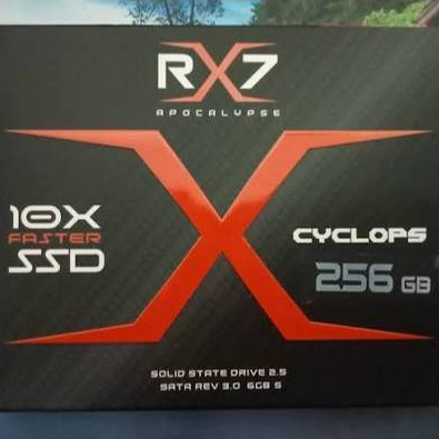 SSD RX7 256GB