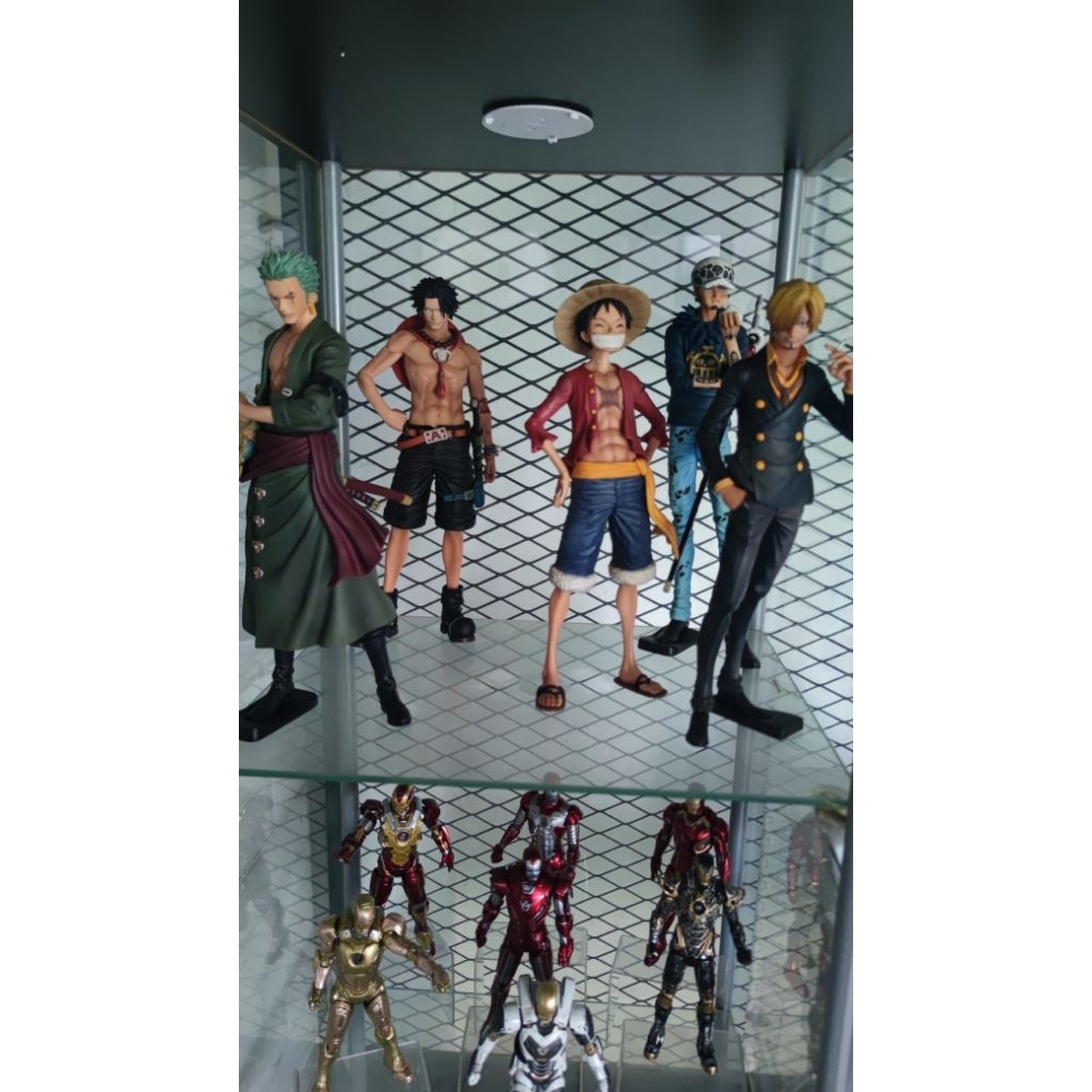 Grandista luffy dan zoro (BIB)