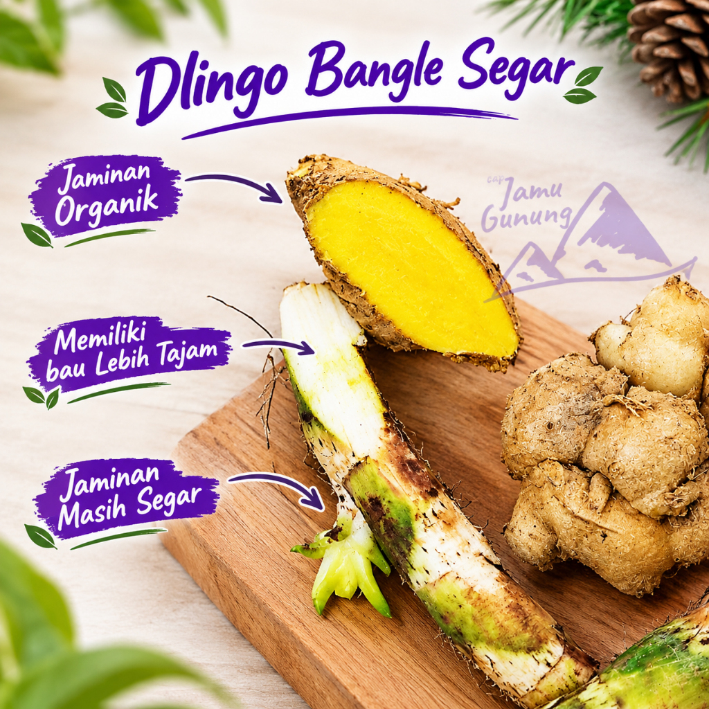 Dlingo Bengle 1kg Dlingo Bangle Segar Sawan Anak