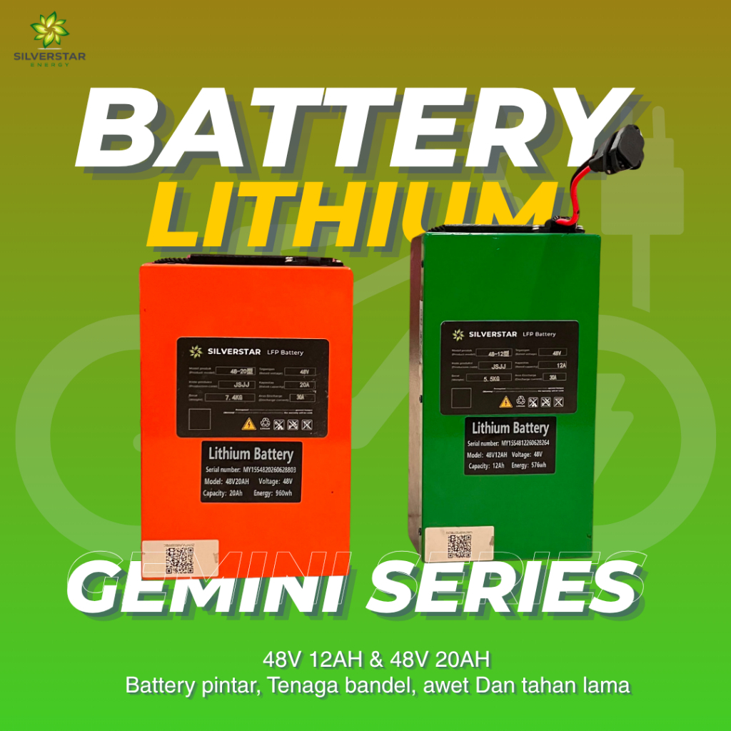 Gemini series 48v 12ah, 48v 20ah, lithium battery Lifepo