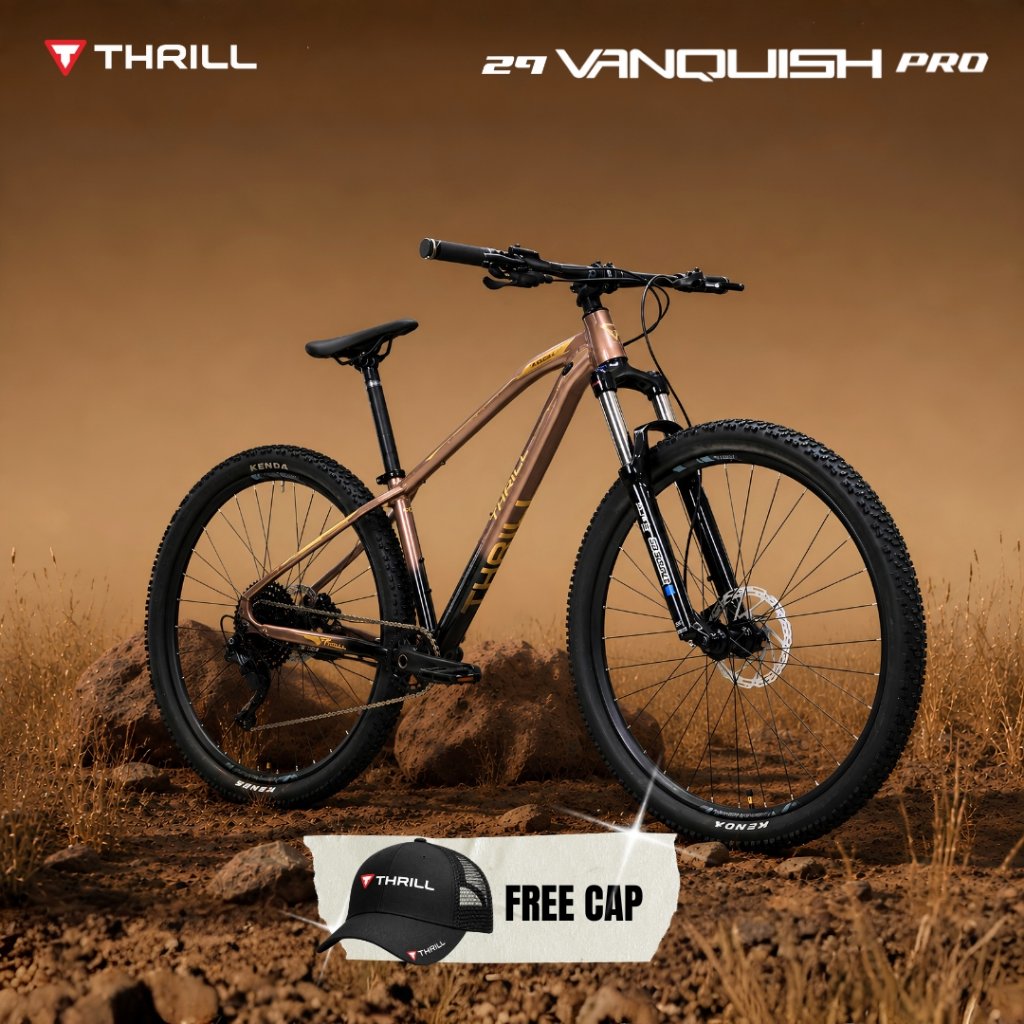 SEPEDA GUNUNG MTB THRILL VANQUISH PRO 29