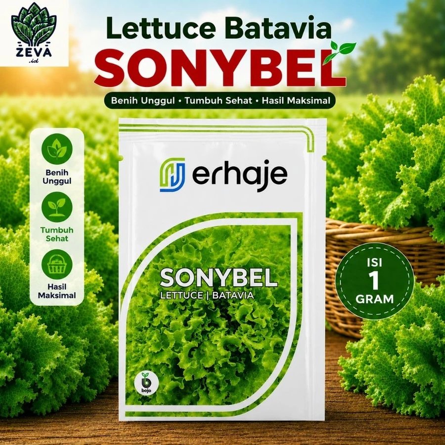 Benih SONYBEL 1gr Sonybel bejo Benih Selada bejo Benih selada import Sonybel Pengganti Benih Myrtel