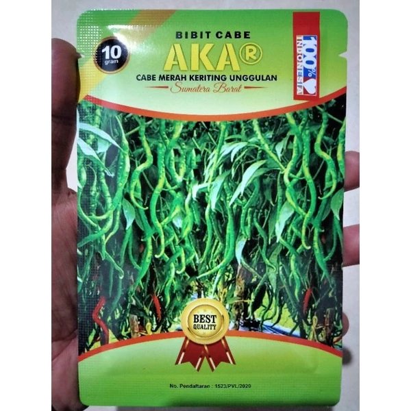 Cabe AKAR 10 Gram - Benih Cabe Merah Keriting AKAR - CMK AKAR - Bibit Cabe AKAR