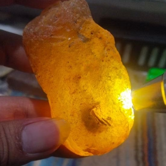 Bahan Batu Akik Anggur cempaka | anggur Madu | Anggur Putih Natural