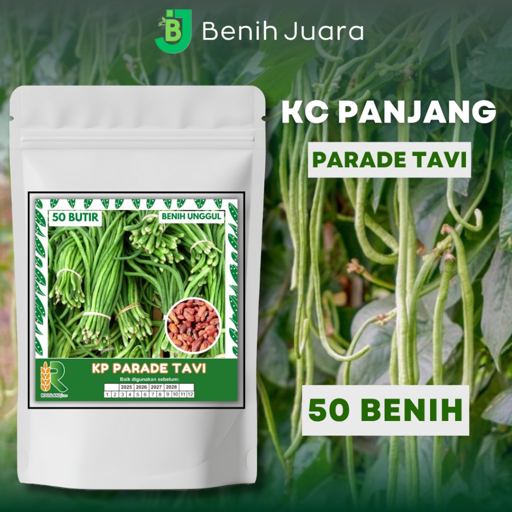 (PREMIUM) 50 BENIH BIJI KACANG PANJANG PARADE TAVI UNGGULAN