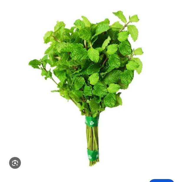 Daun mint segar, daun mint, pepermint