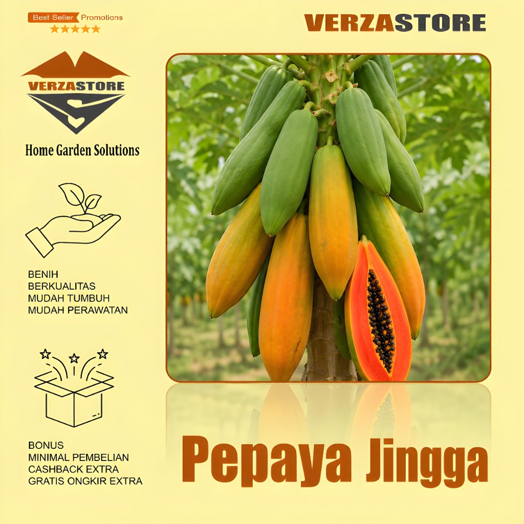 10 Biji - Benih Bibit Buah Pepaya Jingga Super