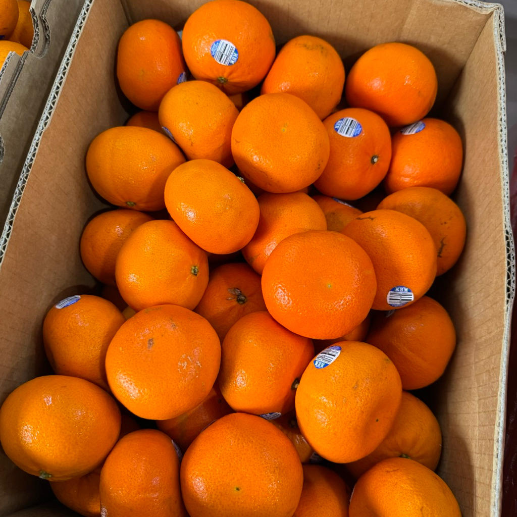 

Buah Jeruk Honey Murcott Premium