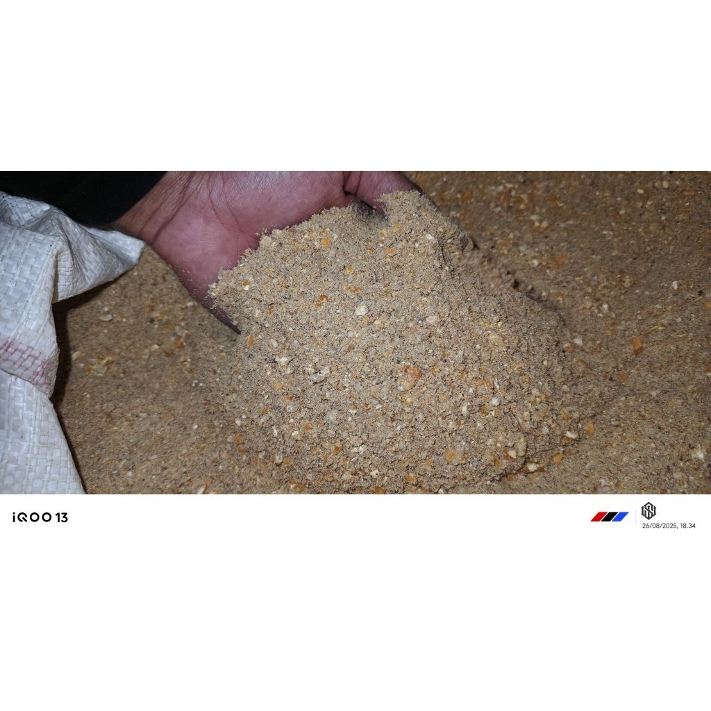 Pakan Ayam Petelur GT-1 Sinta 5KG