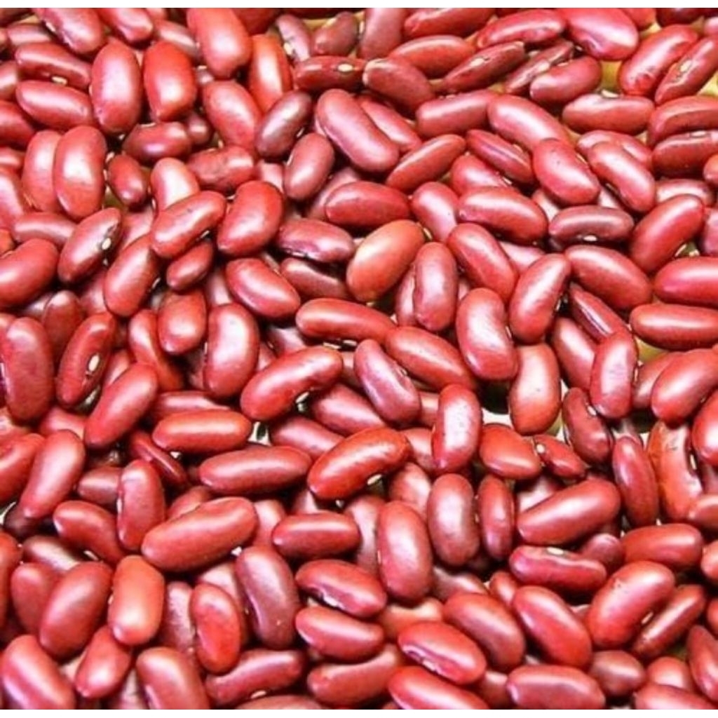 

kacang merah pilihan 500 gram