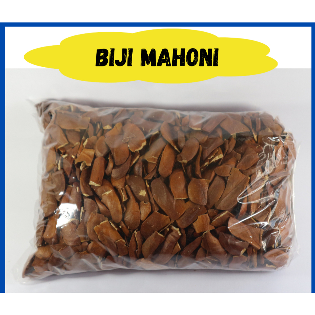 

BIJI MAHONI KULIT 500g MAHONI MURAH/OBAT HERBAL