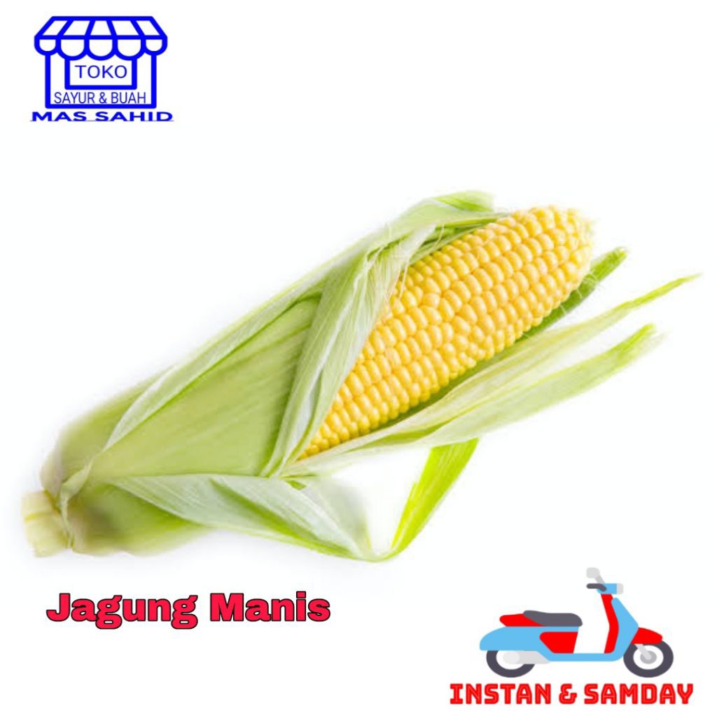 

Jagung Manis Madu Jagung Madu Kulit