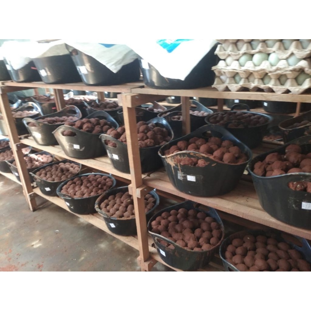 

Telur Asin Bebek (Rebus siap makan) isi 10 butir