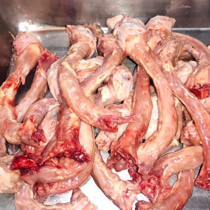 

Kepala Leher Puyuh tanpa kulit 500 gram