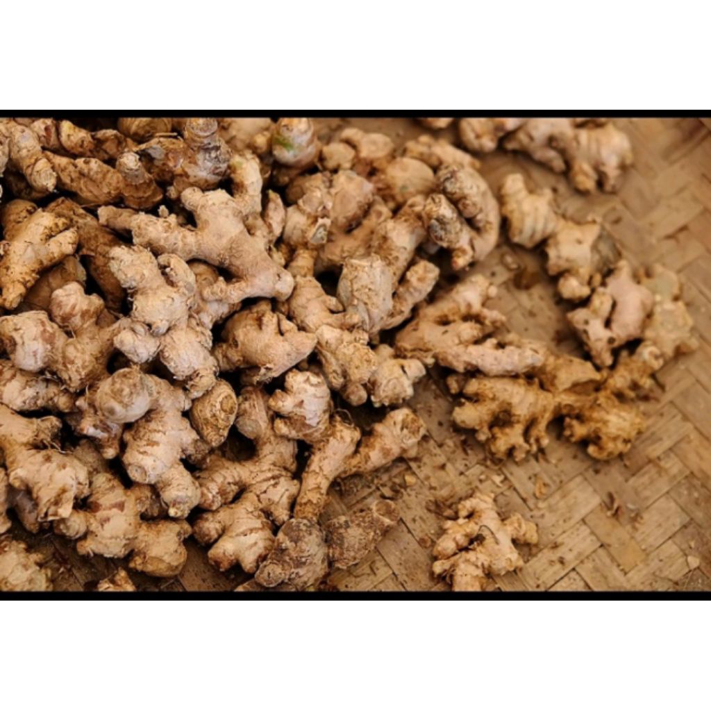 

Jahe Emprit Kemasan 500gram