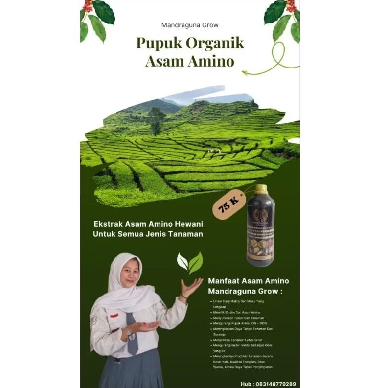 Pupuk organik asam amino