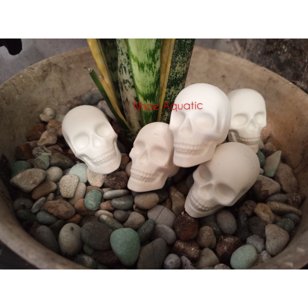 Ornamen Tengkorak Hiasan Aquarium