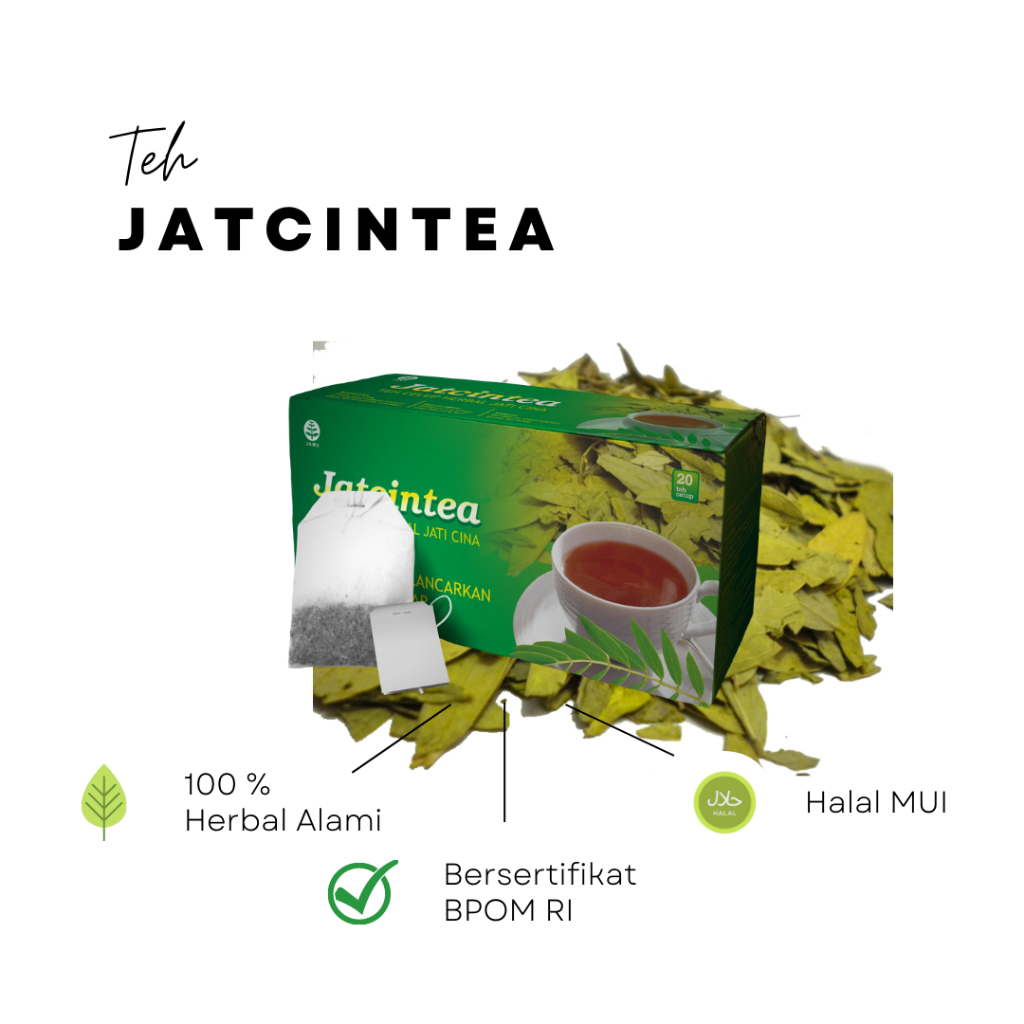 

Teh Herbal Daun Jati Cina Celup Jatcintea Pelangsing Badan isi 20 kantong