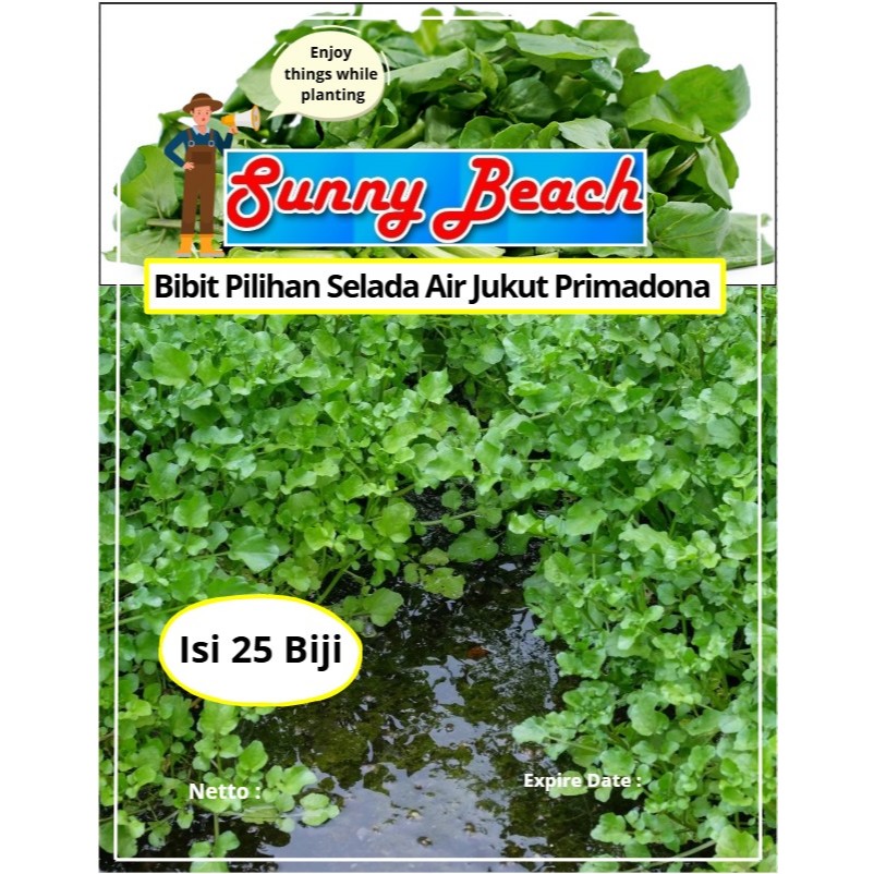 Bibit Pilihan Selada Air Jukut Primadona | Biji Benih Selada Air | Selada Air