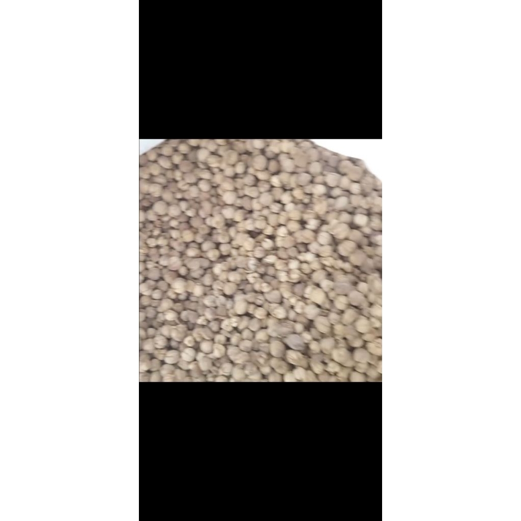 

kapulaga jawa kering 1kg