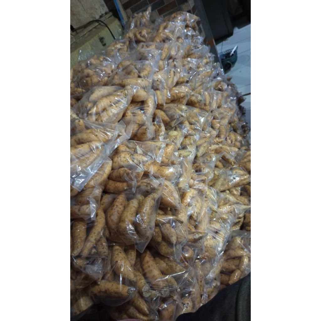 

ubi cilembu ukuran rata sedang