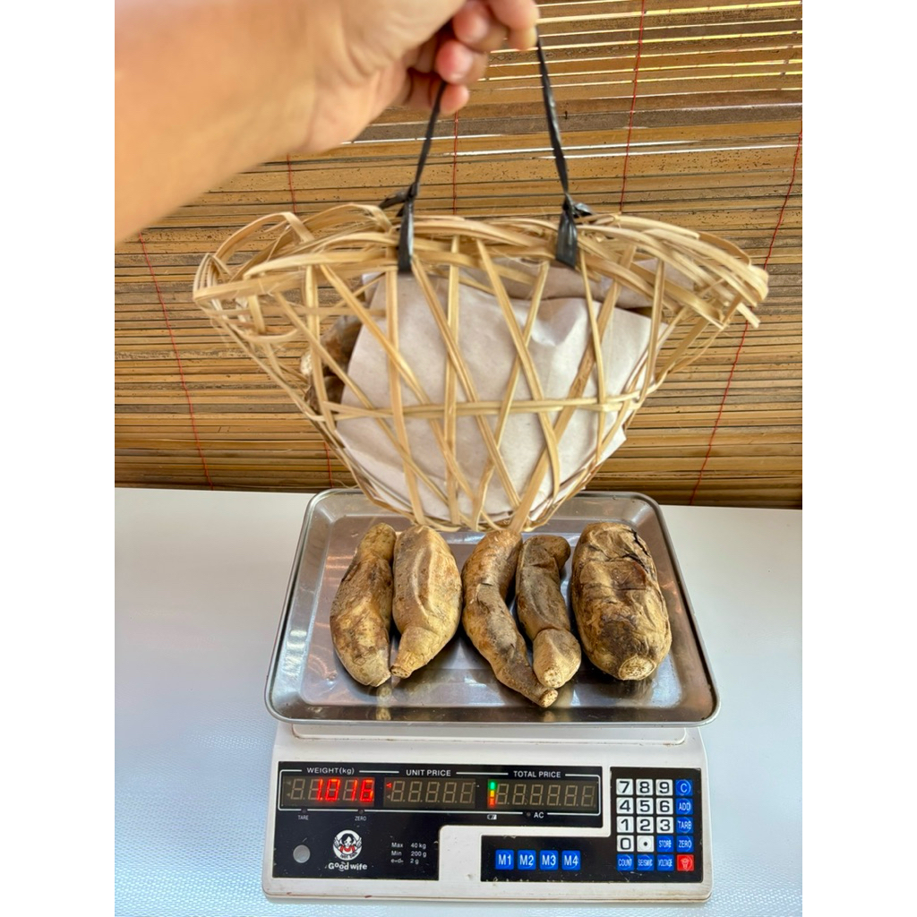 

ubi cilembu madu matang 1kg (asli)