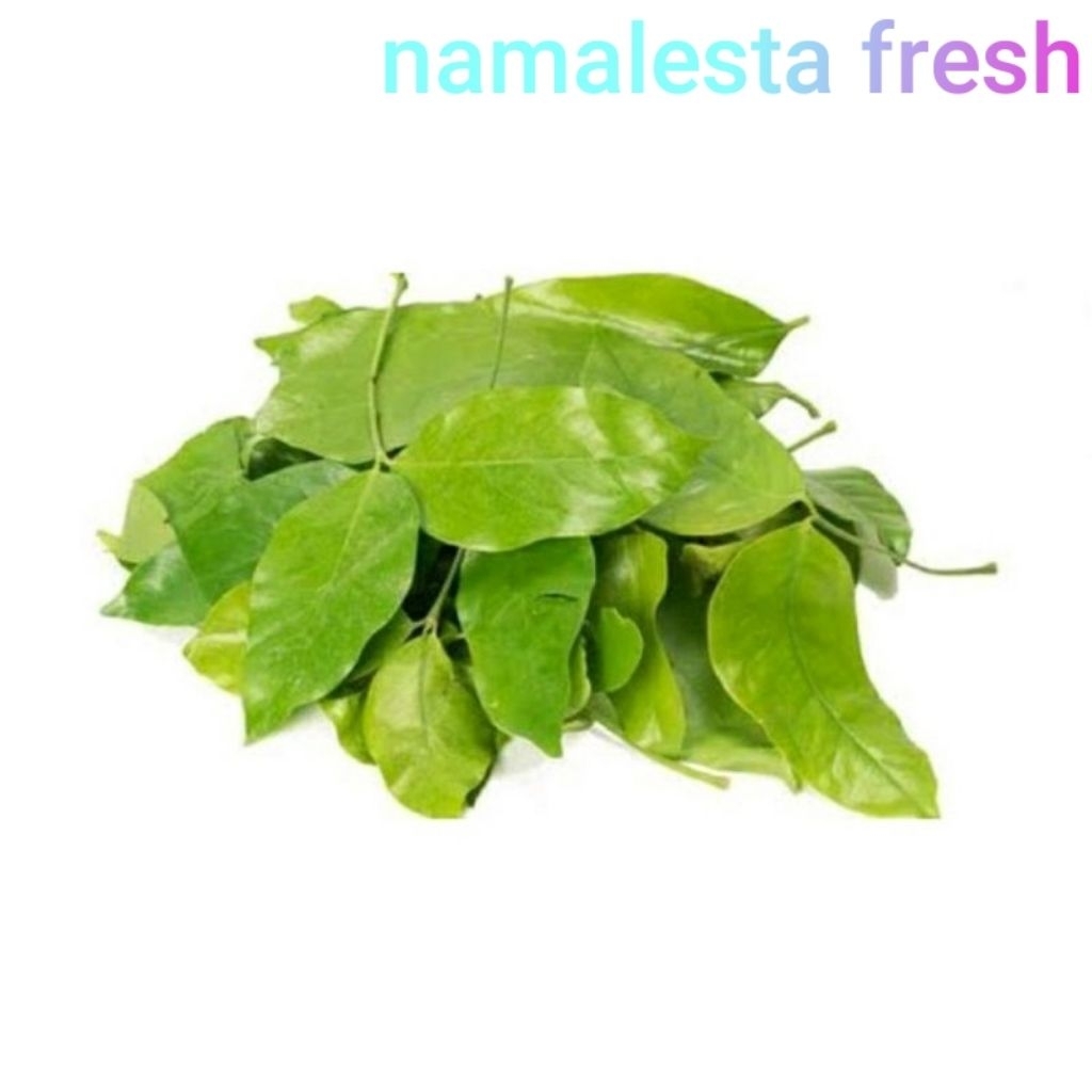 

daun melinjo-namafresh