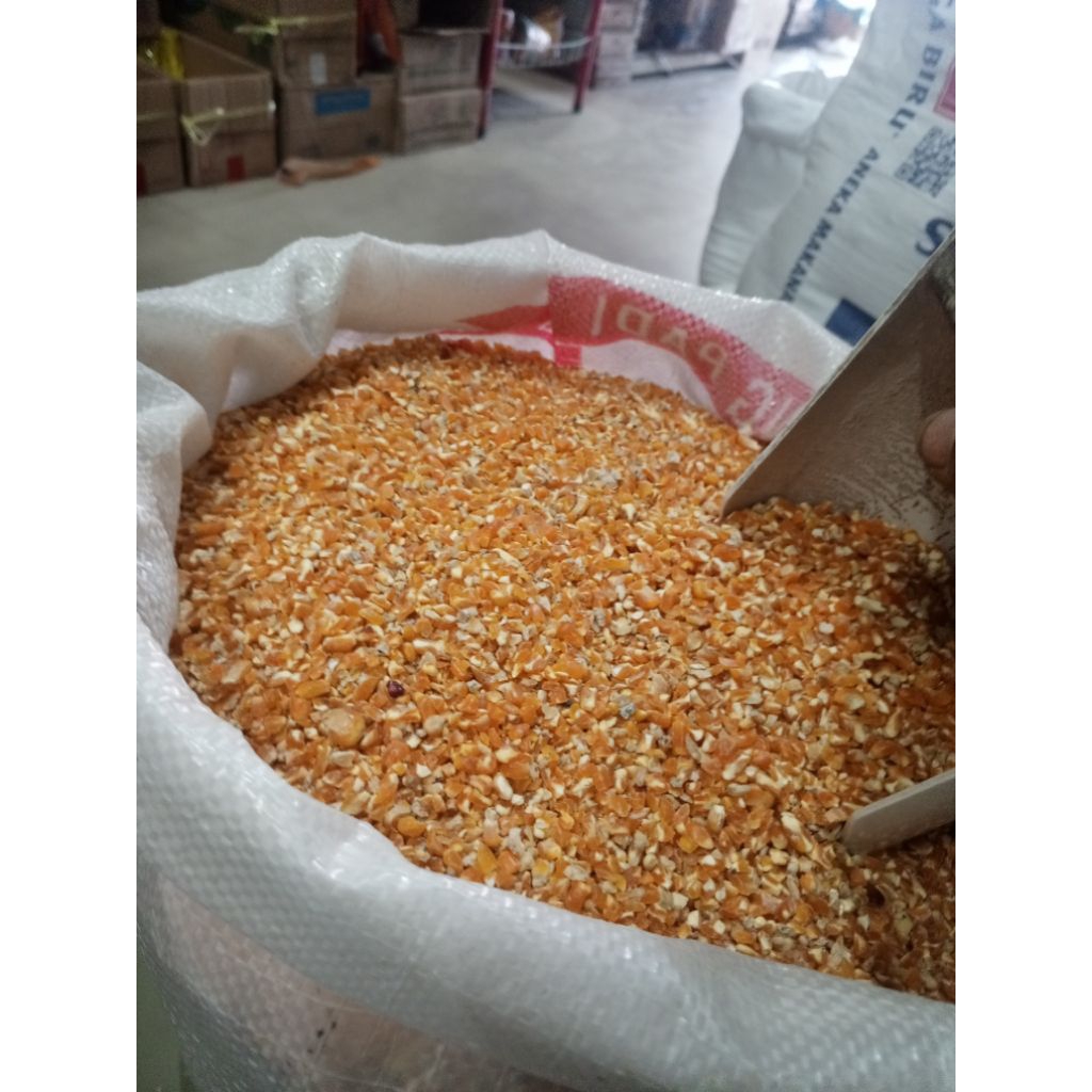 

jagung giling(pecah)