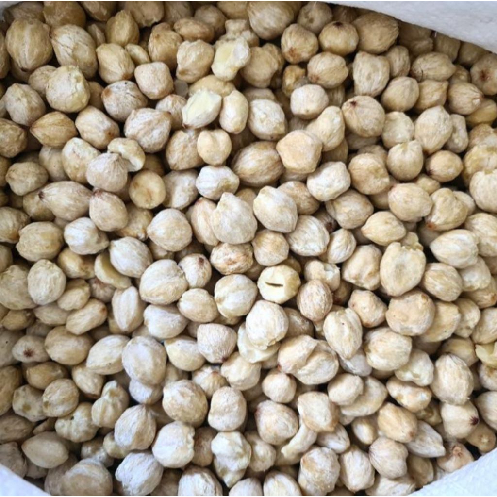 

Kemiri Kupas Bumbu Masak Biji Kemiri Kupas Utuh Kualitas Bagus