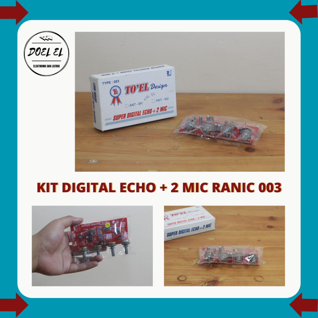 RANIC SUPER DIGITAL ECHO PLUS 2 MIC TYPE 003 | TO'EL DESIGN