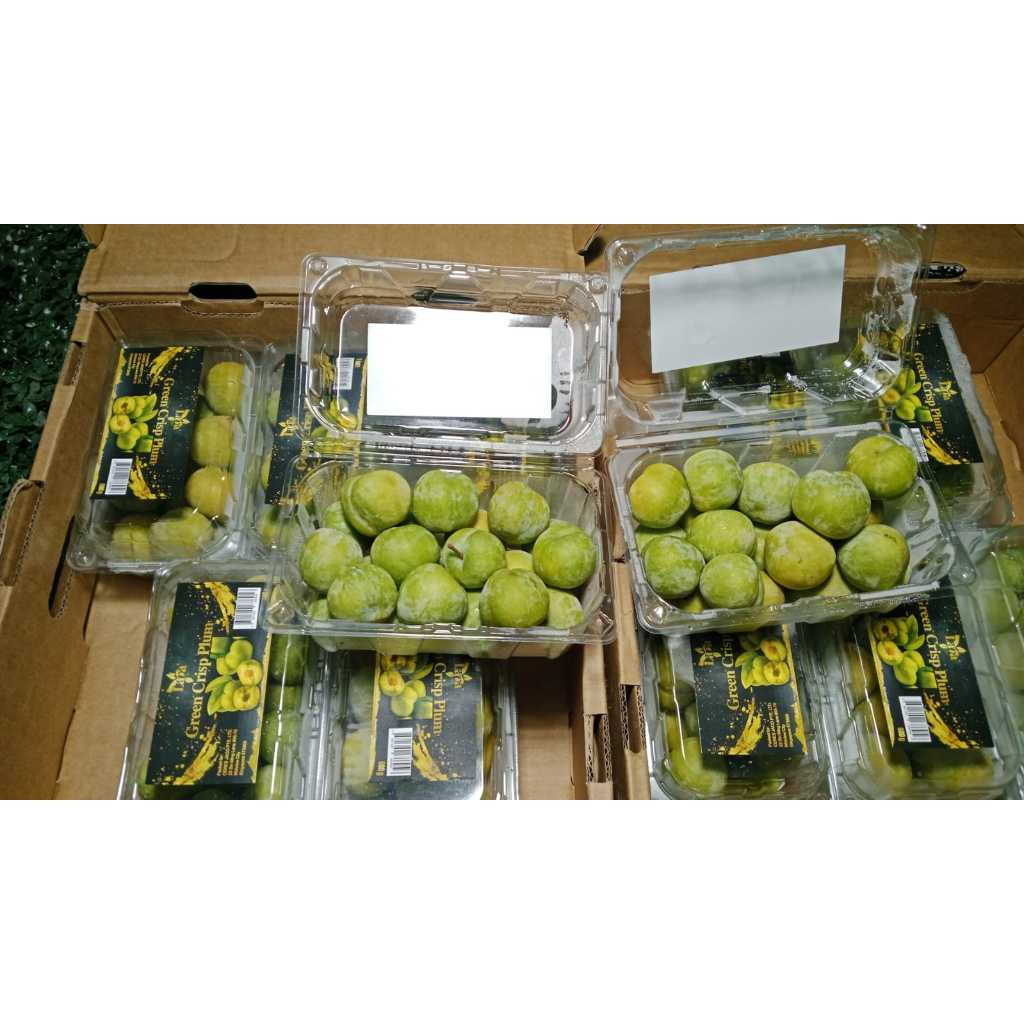 

Green Plum / Plum Hijau 500gr