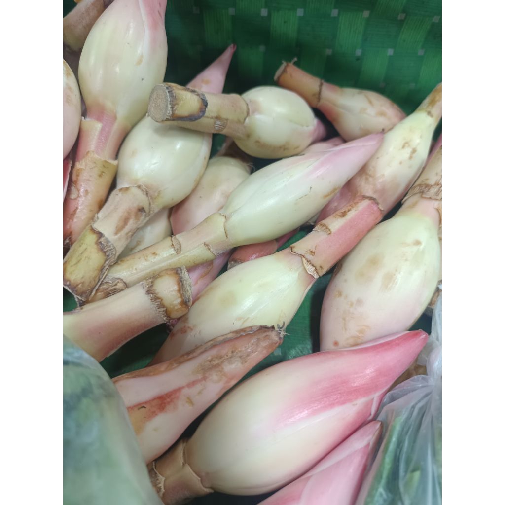 

Kecombrang/Honje - 500gr