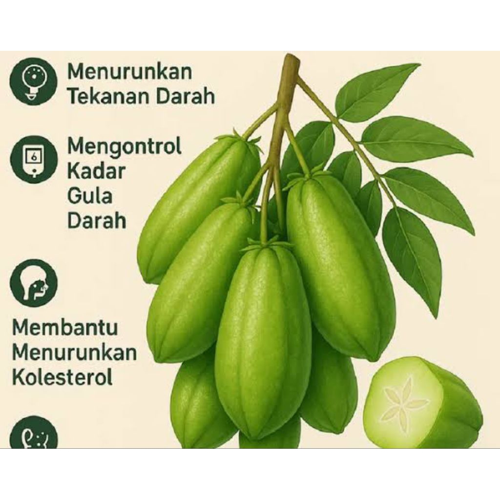

buah blimbing wuluh - buah calincing fresh per 10 pcs