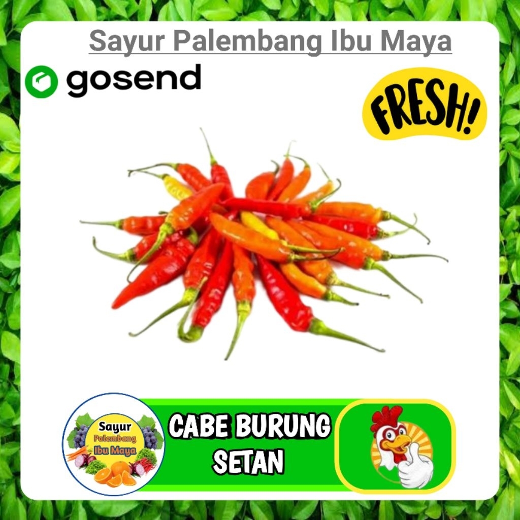 

Cabe Burung Merah Cabai Cabay Segar - Sayur Fresh Palembang