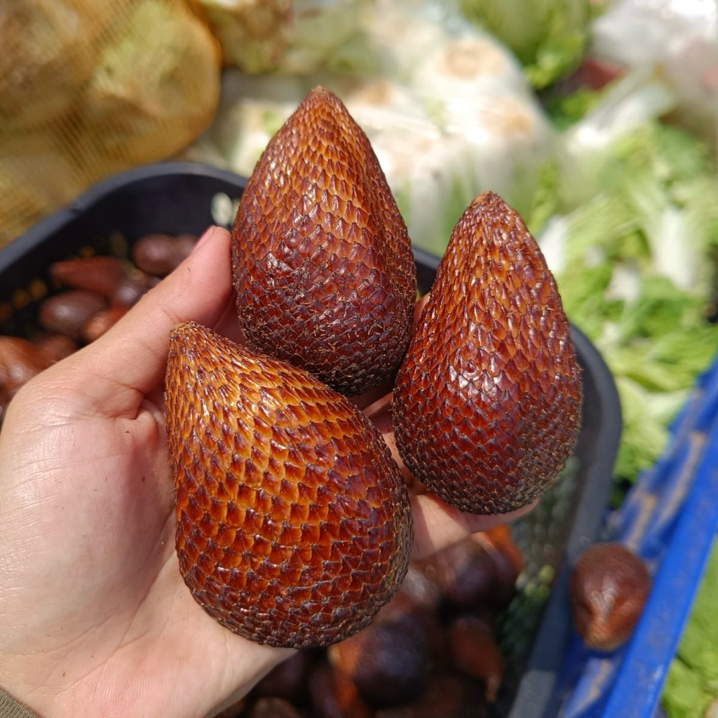 

salak pondoh