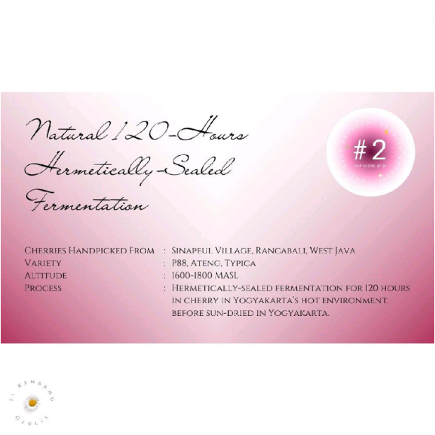 

Green Bean Arabica Sinapeul West Java Hermetically-Sealed Natural 120 Hours - Biji Kopi Arabika Mentah