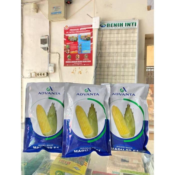 

PROMO Benih / bibit jagung ADVANTA MADU 59 F1 250 gram Original Kemasan pabrik