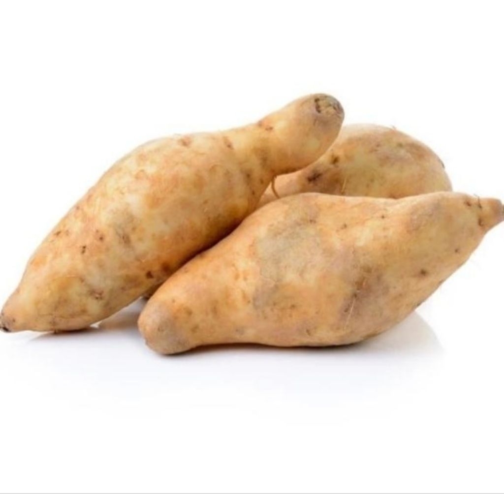 

ubi cilembu ubi madu 500 gram